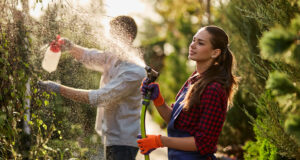 Cómo y cuándo aplicar fertilizante foliar