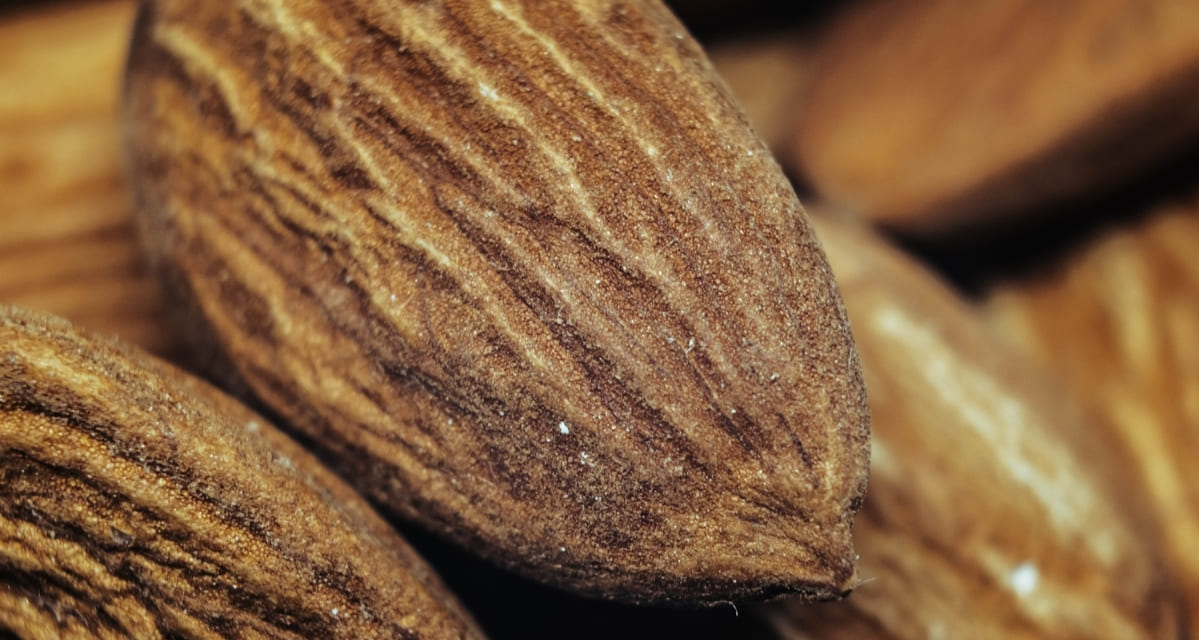 enfermedades del almendro