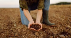 como mejorar la fertilidad del suelo