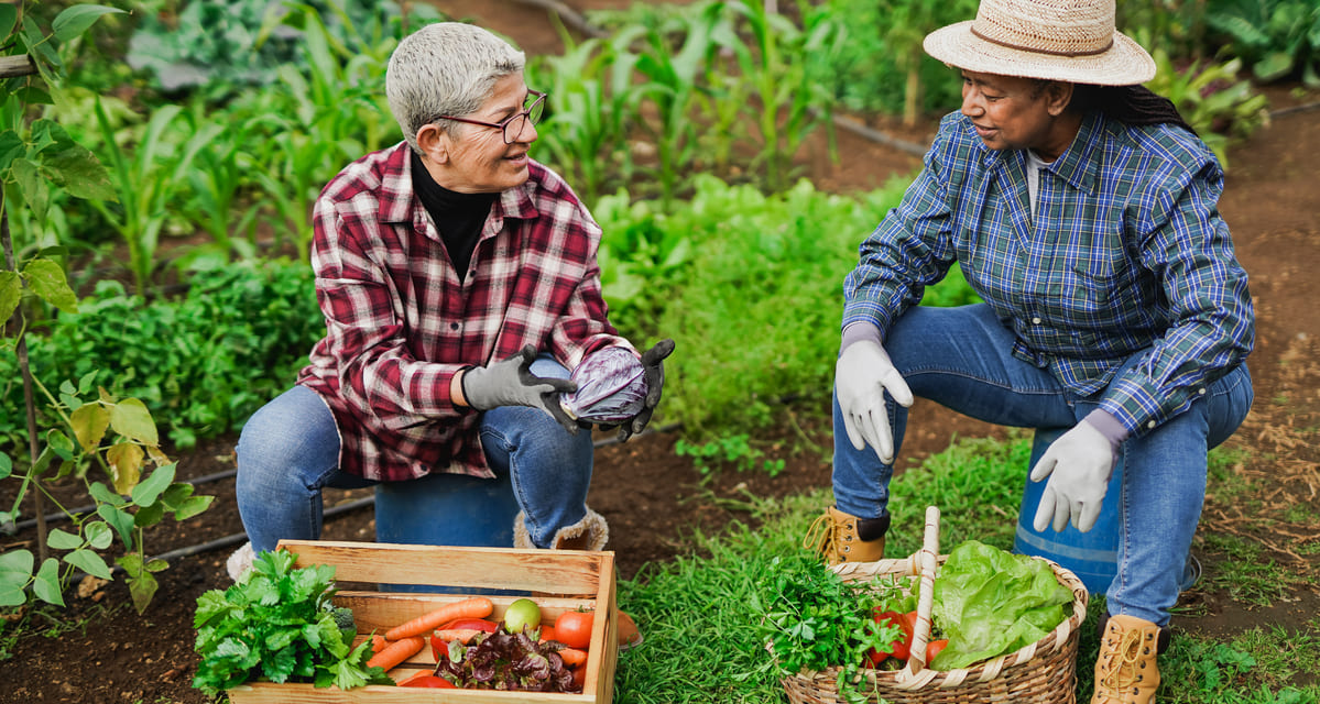 que es la agricultura ecologica