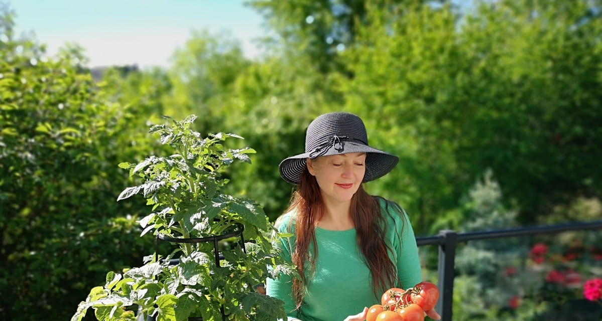 que plantar en primavera